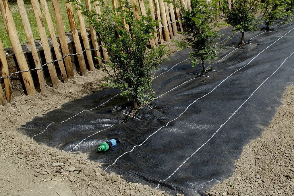 Toile de paillage 125g/m² 1,25x10m