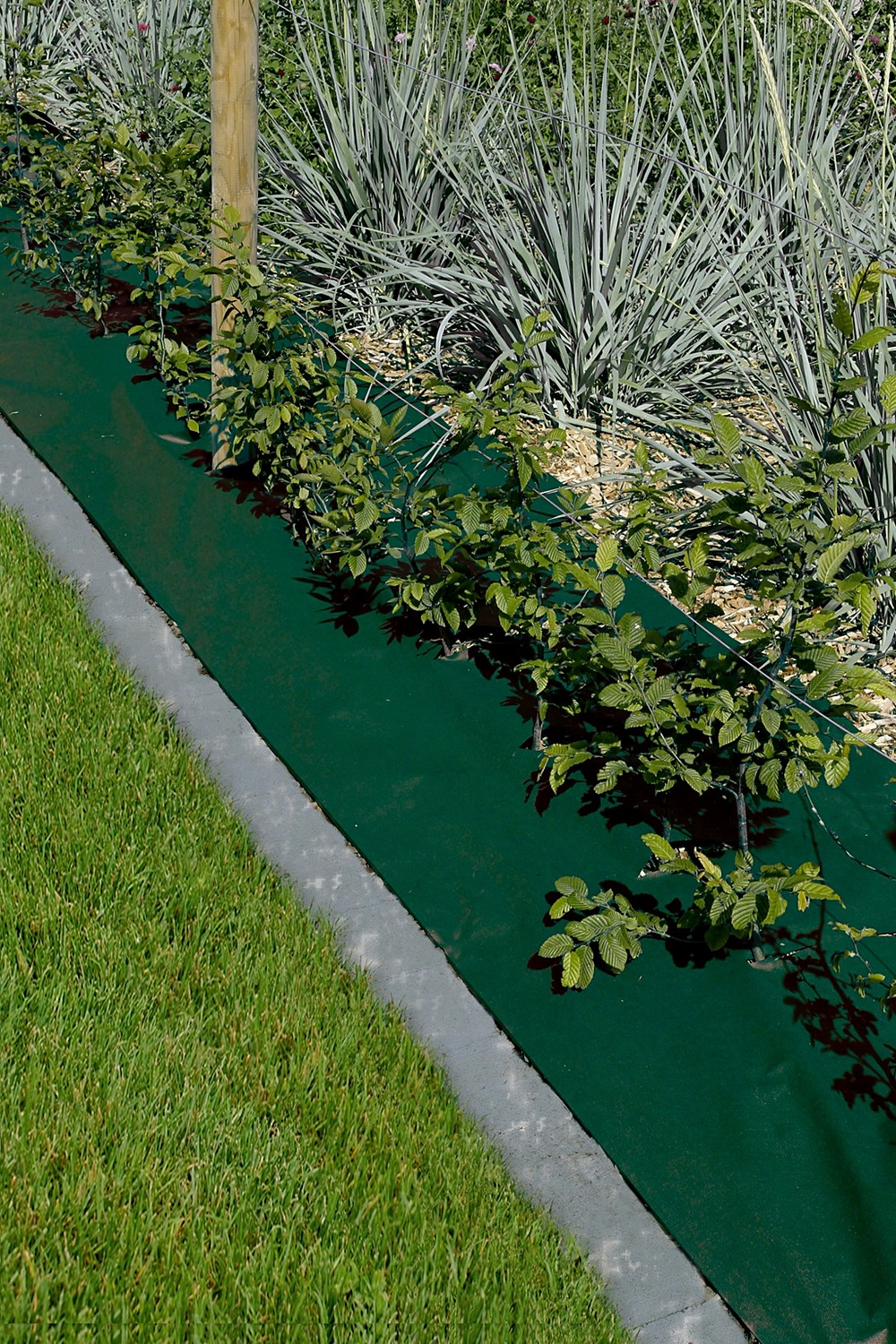 Feutre de paillage PP 80gr/m² 1,60x10m