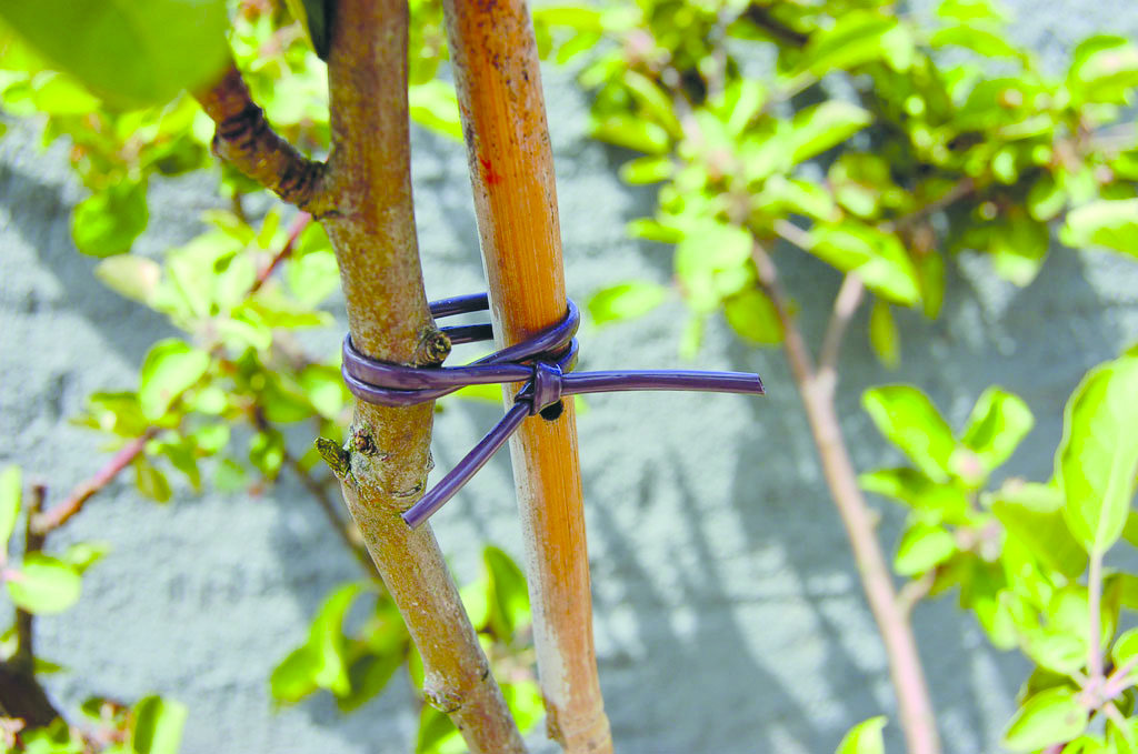 Lien élastique tubulaire marron 40m 2,5mm