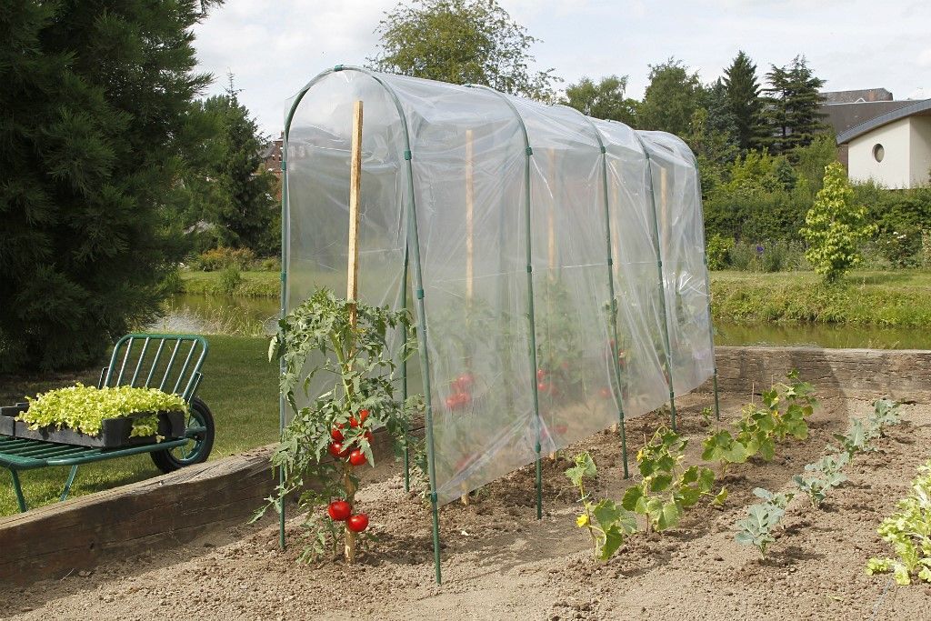 Film de forçage tunnel tomates LDPE 70microns 5x3,50m