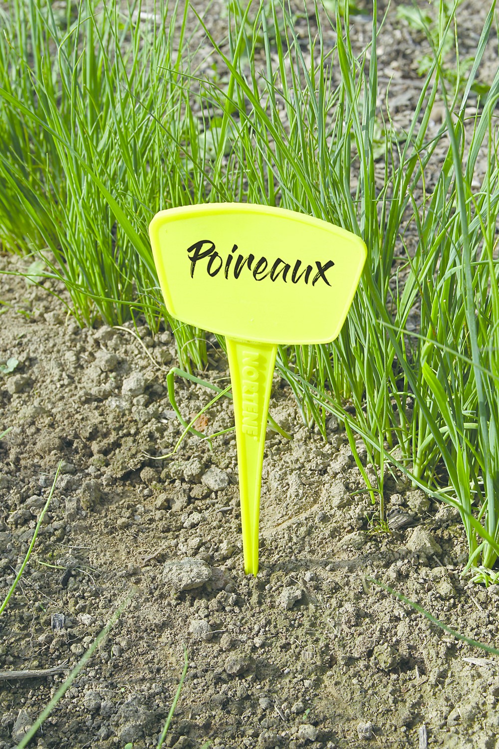 5 étiquettes à planter jaunes 25cm