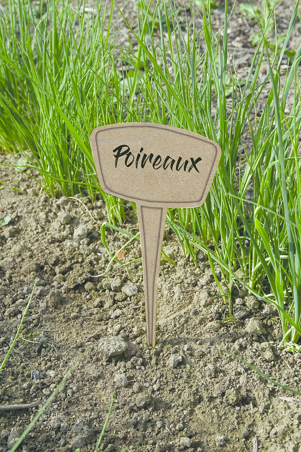5 étiquettes à planter marron 25cm