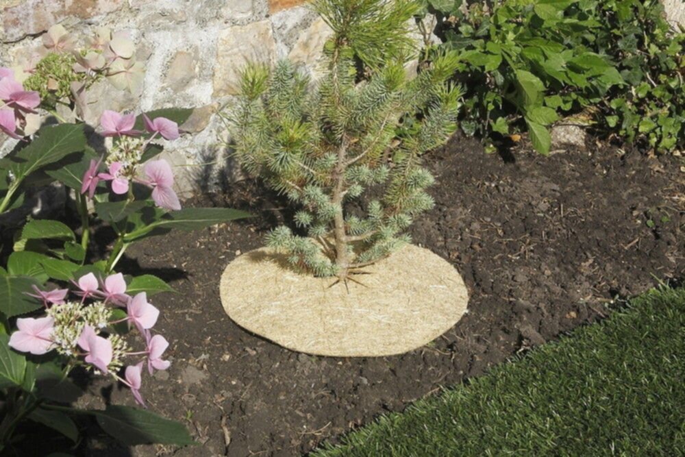 3 disques de paillage naturel Chanvrelin Ø30cm