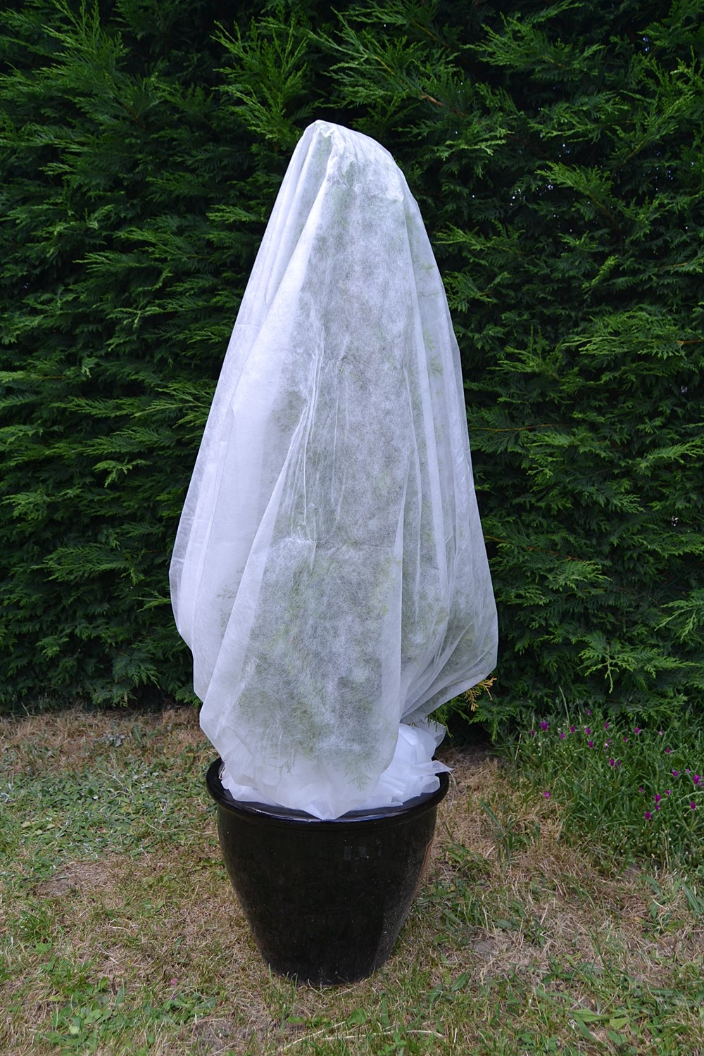 Voile hivernage 2x10m