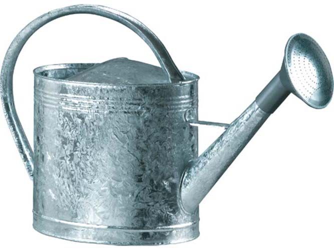 Arrosoir acier galvanisé avec pomme (13 litres)