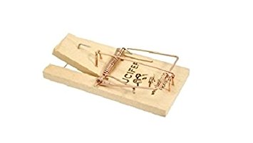 Tapette à souris bois - SAPEFIC