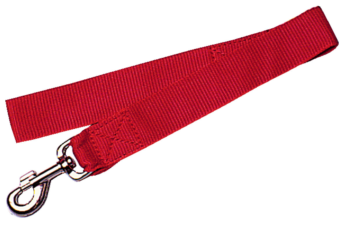 LAISSE NYLON XL 60CM ROUGE