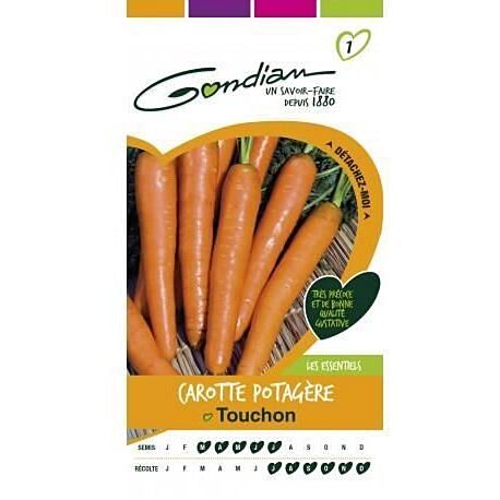 Graines Carotte Potagère Touchon - GONDIAN