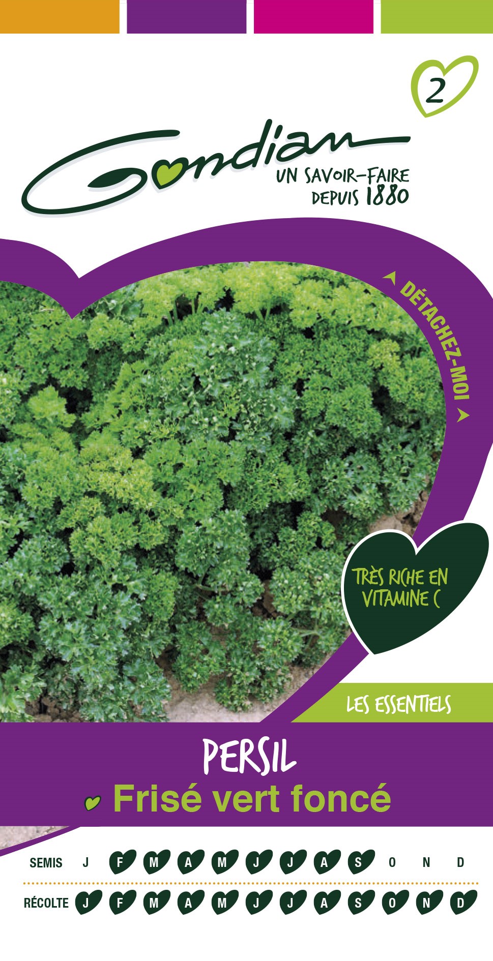 Graines Persil Frisé Vert Foncé - GONDIAN