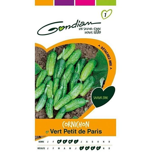 Graines Cornichon Vert Petit de Paris - GONDIAN