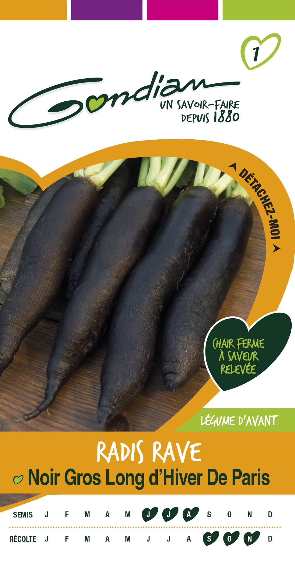 Graines Radis Rave Noir Gros Long d'Hiver de Paris - GONDIAN