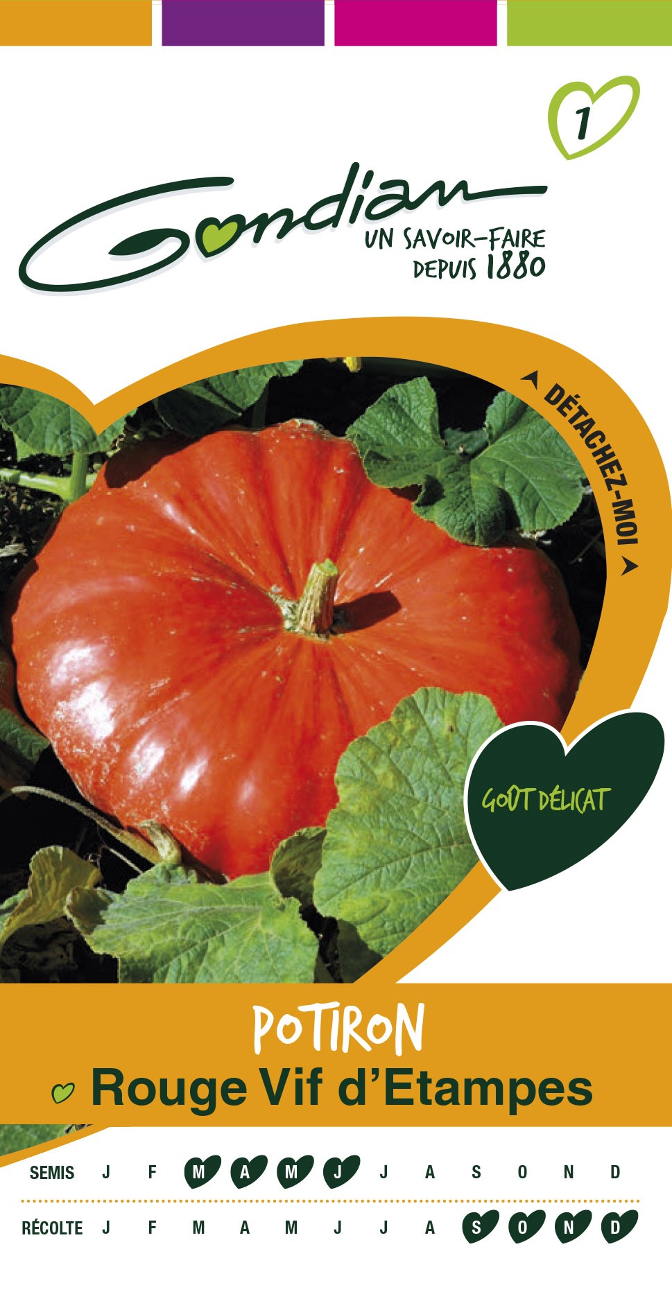 Graines Potiron Rouge Vif d'Etampes - GONDIAN