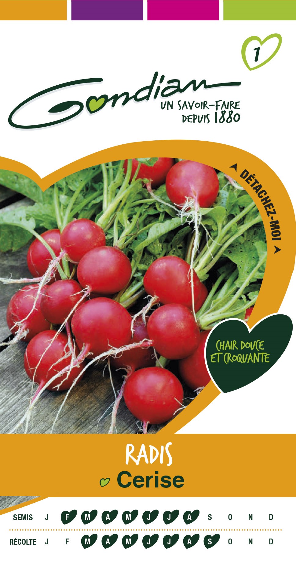 Graines Radis Cerise - GONDIAN