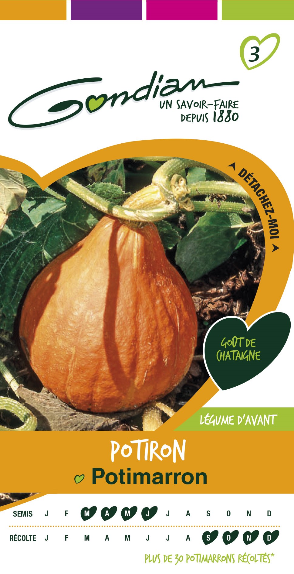Graines Potiron Potimarron - GONDIAN