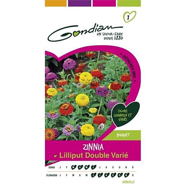 Graines Zinnia Lilliput Double Varié - GONDIAN