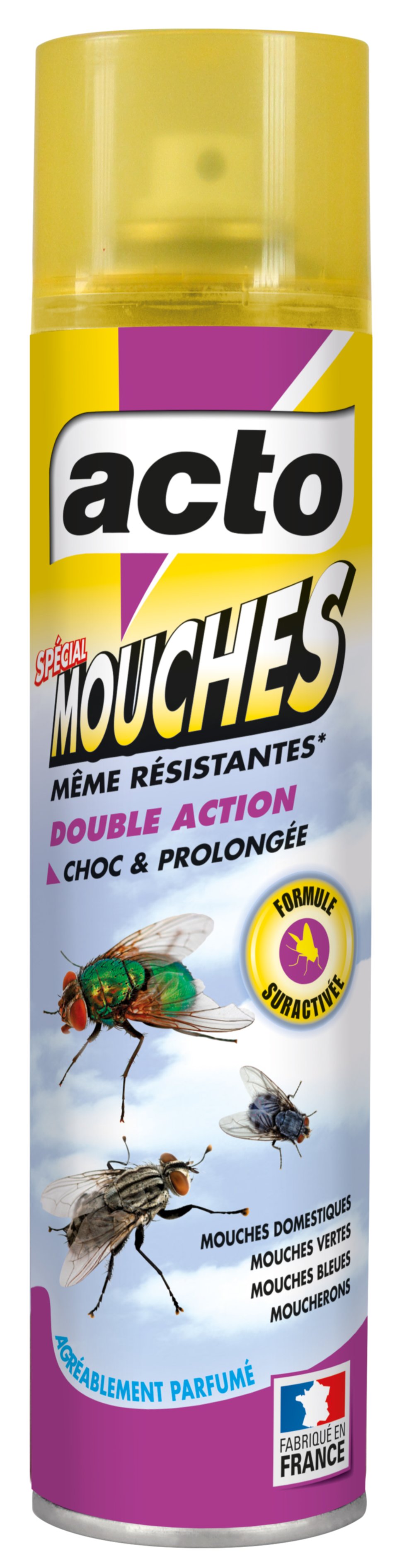 AEROSOL ANTI MOUCHES