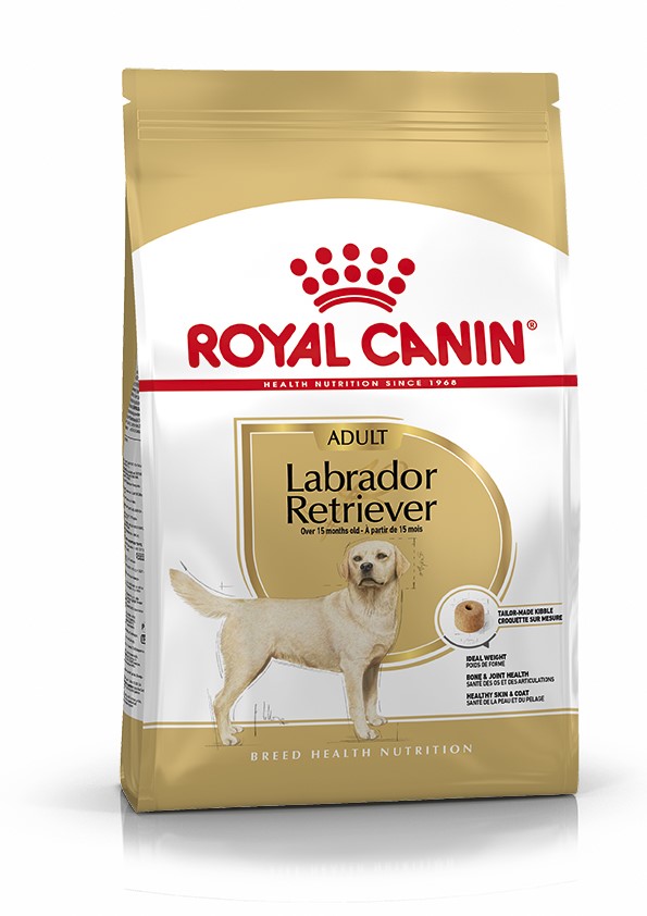 Croquette Chien Labrador Adult 3kg - ROYAL CANIN