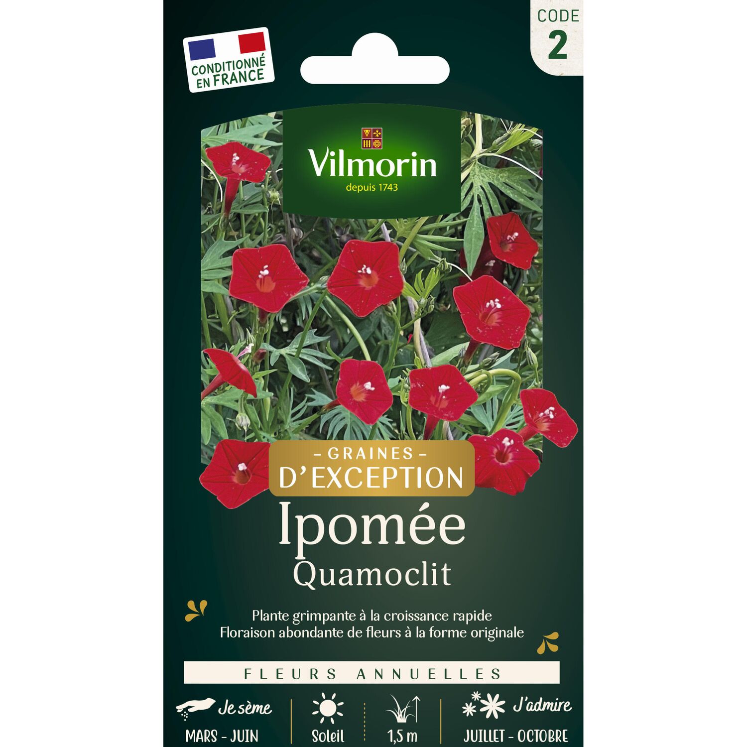 Graines Ipomée Quamoclit - VILMORIN