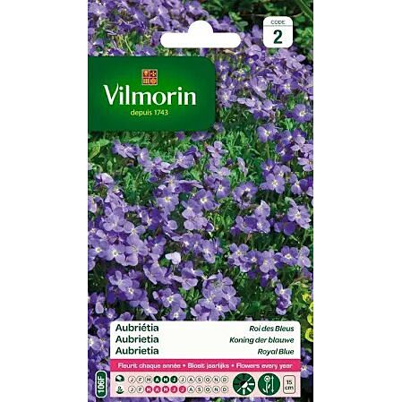 Graines Aubriétia Roi des Bleus - VILMORIN