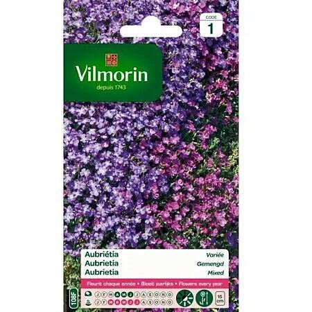 Graines Aubriétia Variée - VILMORIN