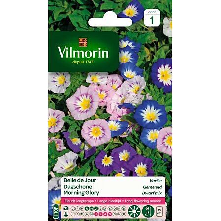 Graines Belle de Jour Variée - VILMORIN