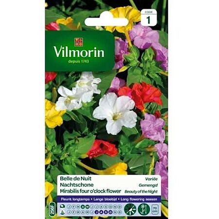 Graines Belle de Nuit Variée - VILMORIN