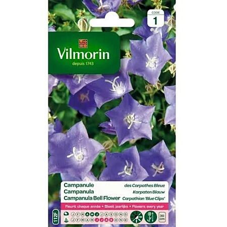 Graines Campanule des Carpathes Bleue - VILMORIN
