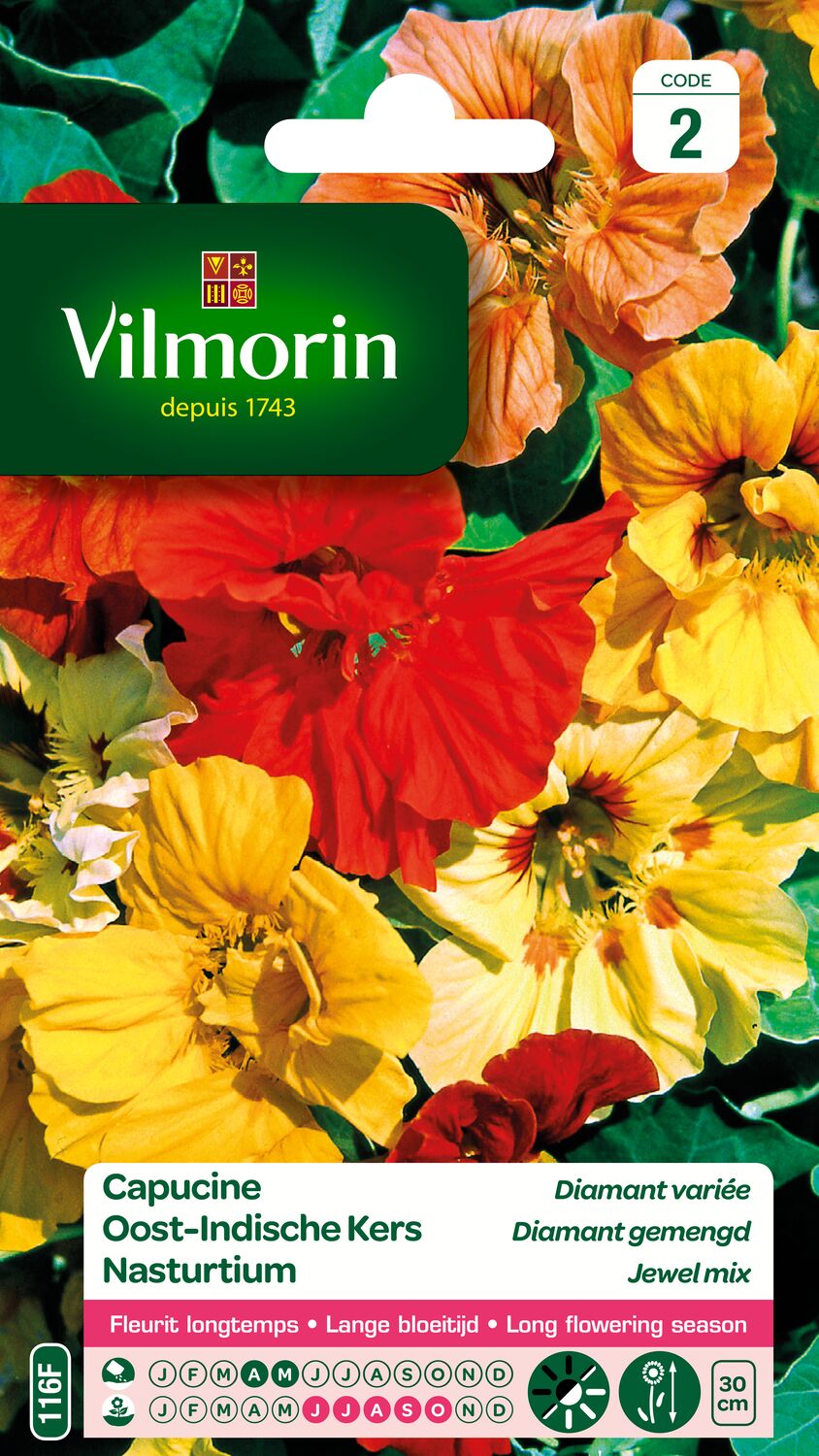 Graines Capucine Diamant Variée - VILMORIN
