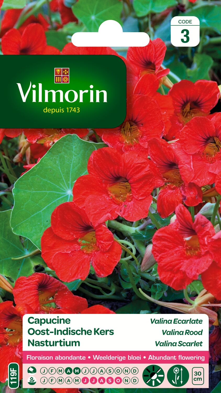 Graines Capucine Valina Écarlate - VILMORIN