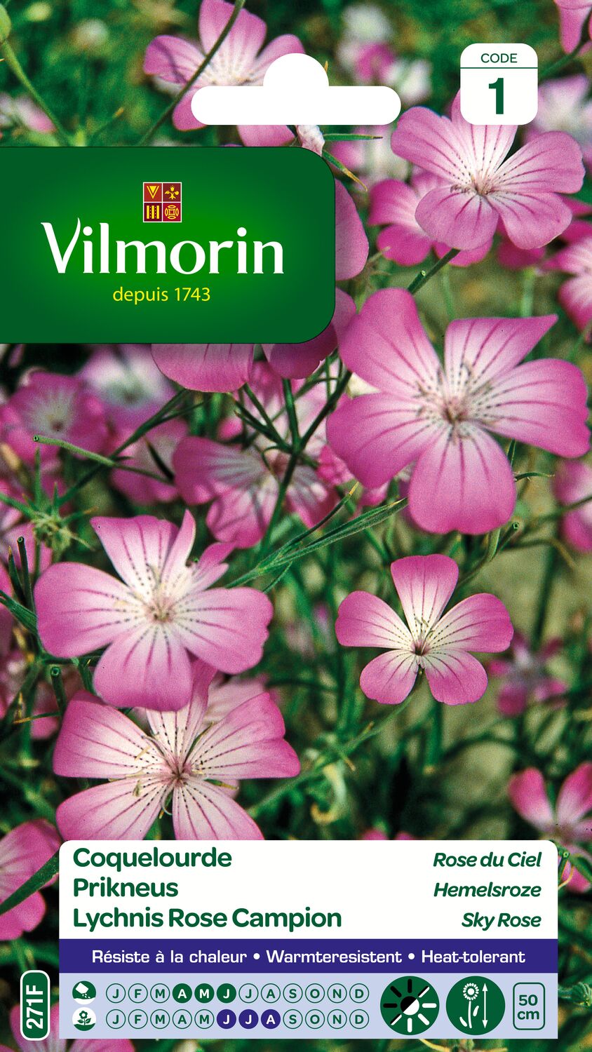 Graines Coquelourde Rose du Ciel - VILMORIN