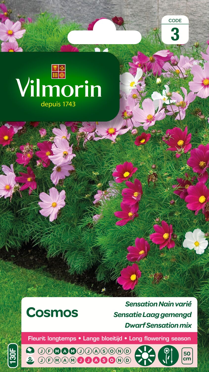 Graines Cosmos Sensation Nain Varié - VILMORIN