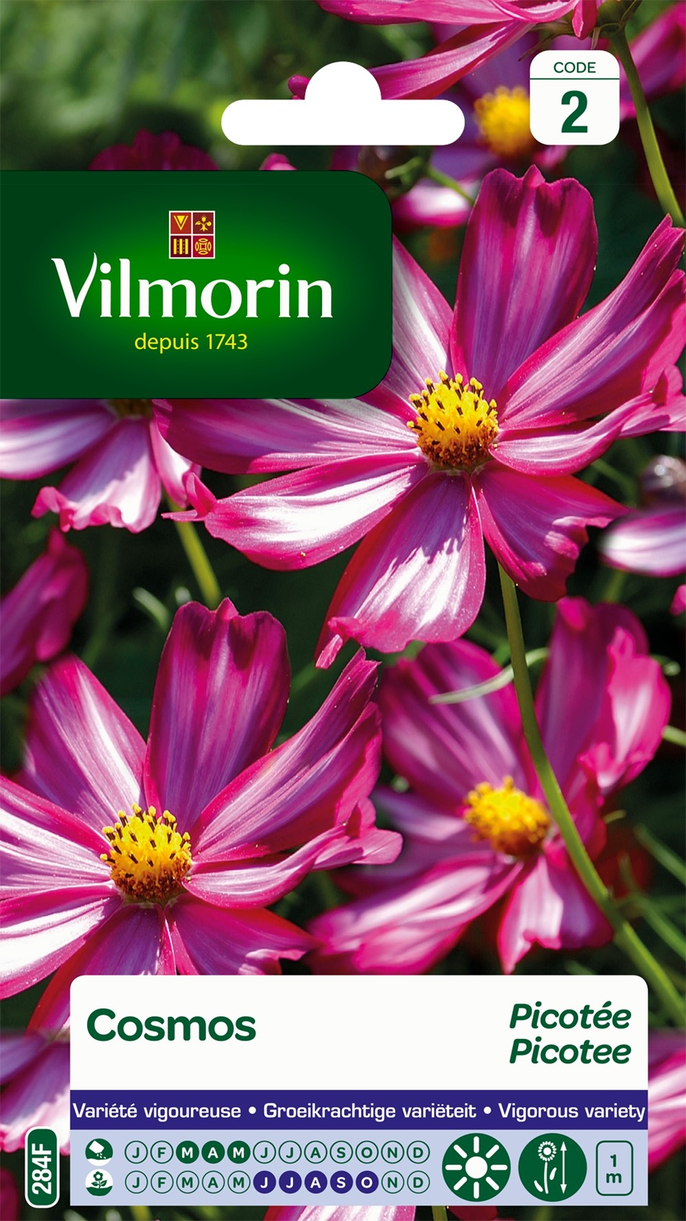 Graines Cosmos Picotée - VILMORIN