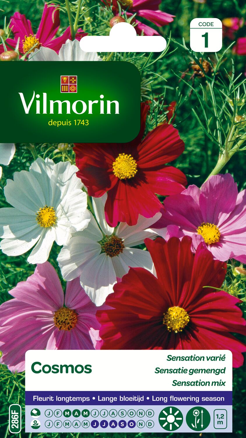 Graines Cosmos Sensation Varié - VILMORIN