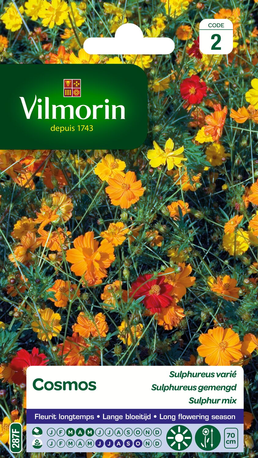 Graines Cosmos Sulphureus Varié - VILMORIN