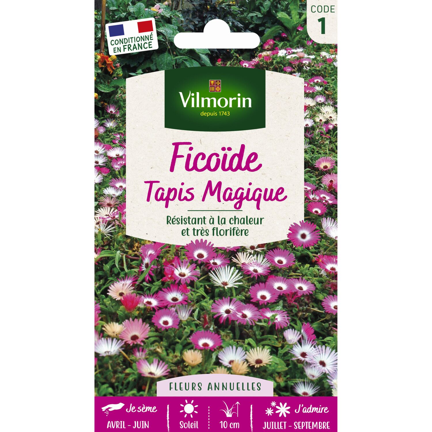 Graines Ficoïde Tapis Magique - VILMORIN