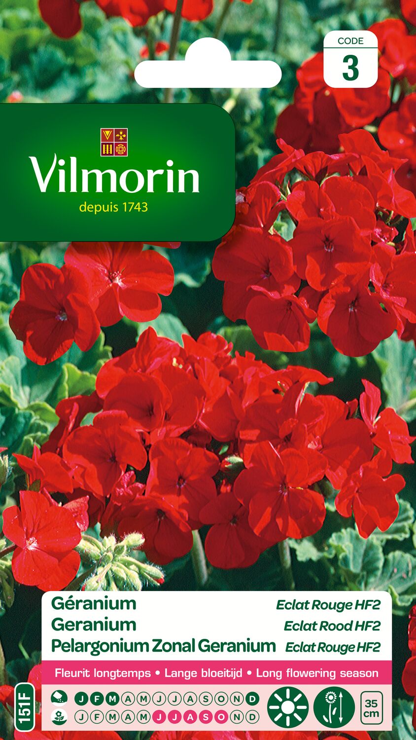 Graines Géranium Eclat Rouge HF2 - VILMORIN