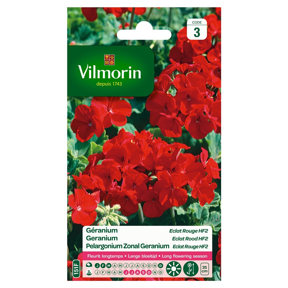 Graines Géranium Eclat Rouge HF2 - VILMORIN