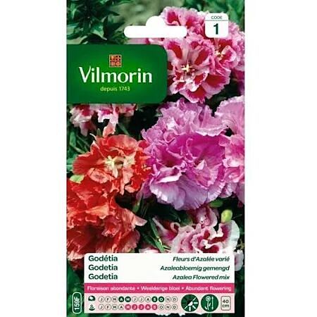 Graines Godétia Fleurs d'Azalée Varié - VILMORIN