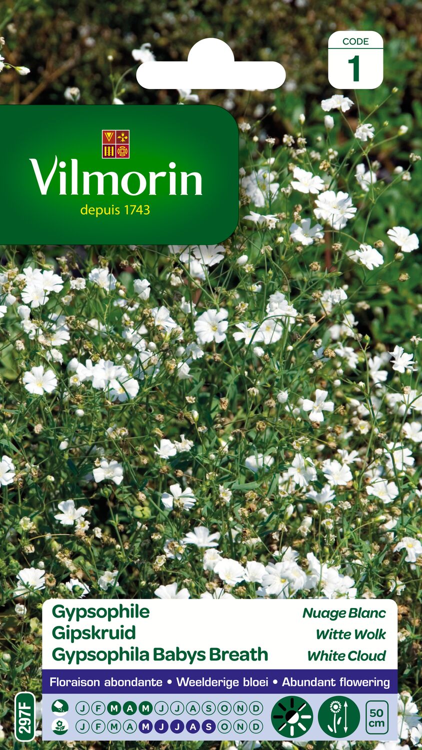Graines Gypsophile Nuage Blanc - VILMORIN