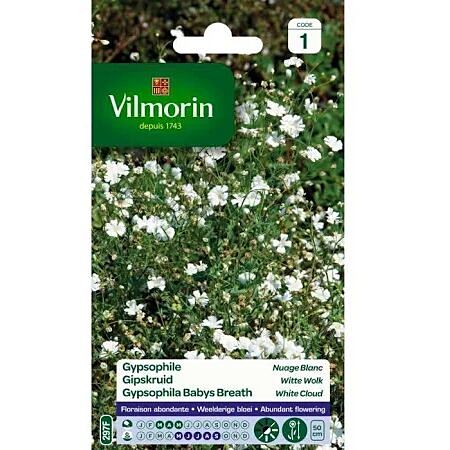Graines Gypsophile Nuage Blanc - VILMORIN