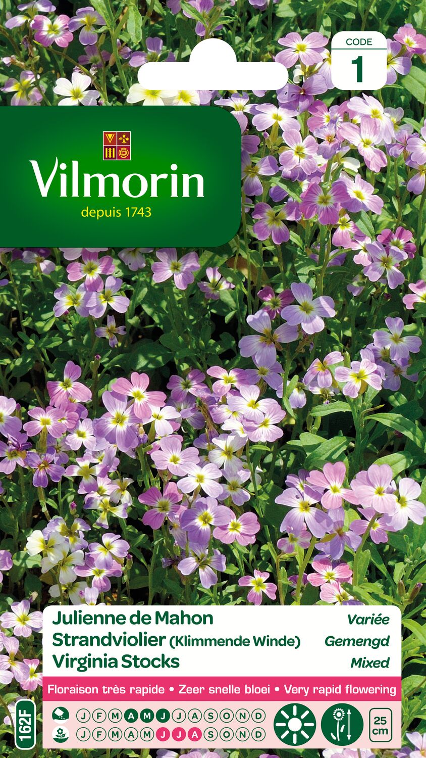 Graines Julienne de Mahon Variée - VILMORIN