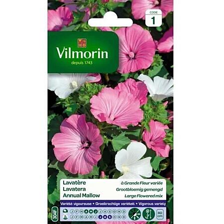 Graines Lavatère à Grande Fleur Variée - VILMORIN