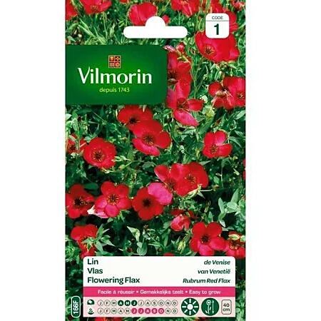 Graines Lin de Venise - VILMORIN