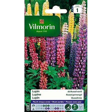 Graines Lupin de Russel Varié - VILMORIN