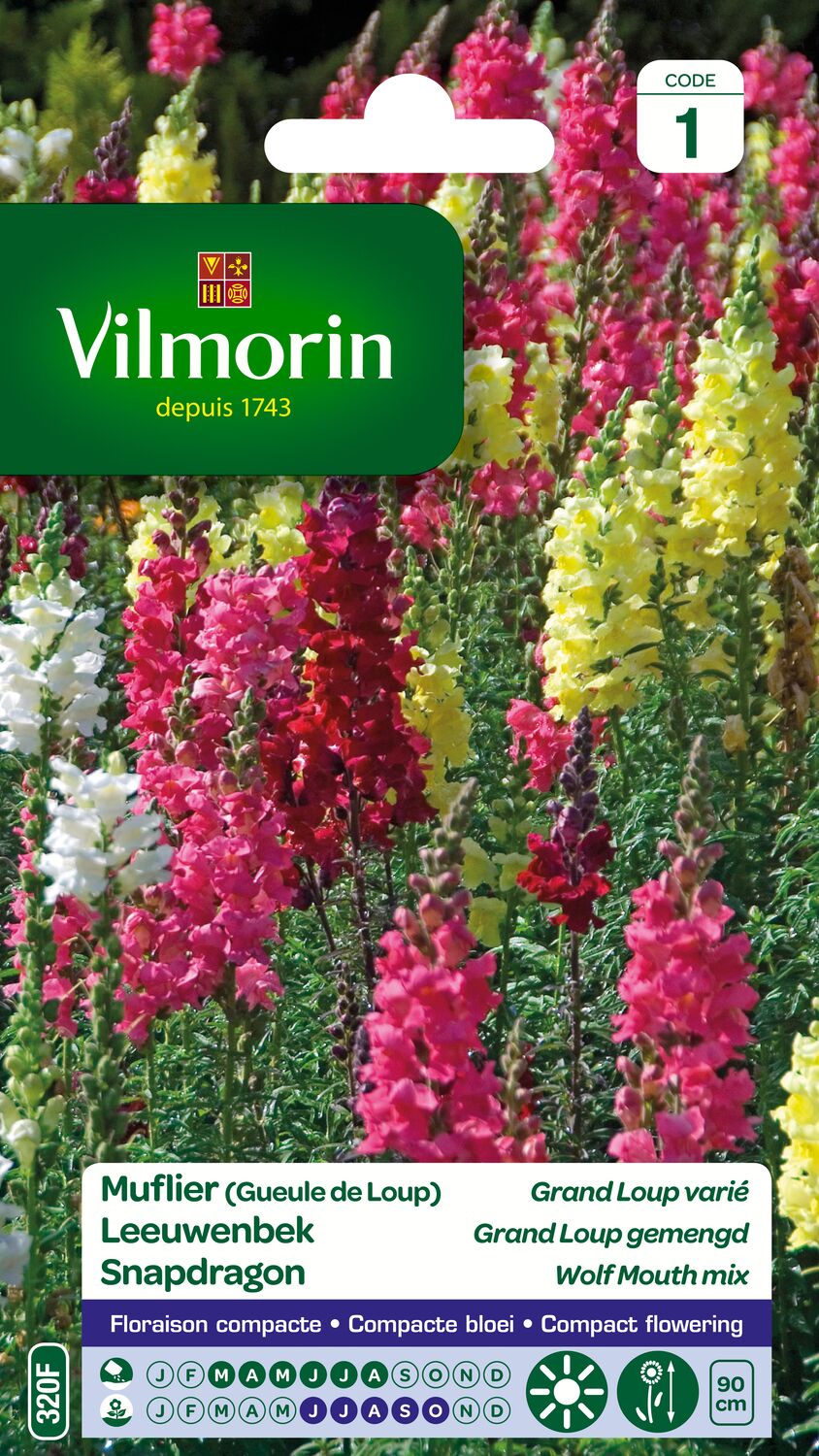 Graines Muflier Grand Loup Varié - VILMORIN
