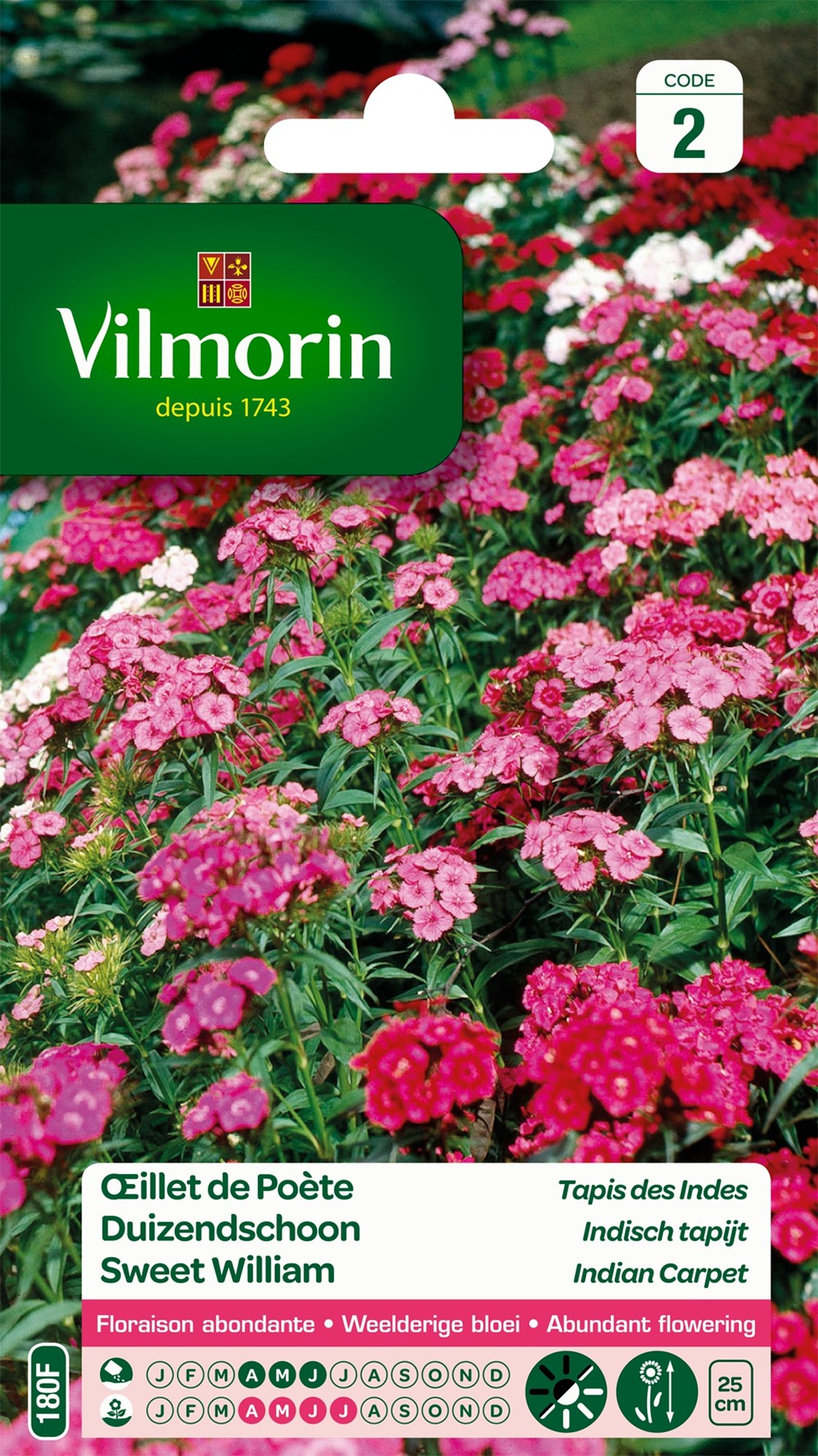 Graines Œillet de Poète Tapis des Indes - VILMORIN