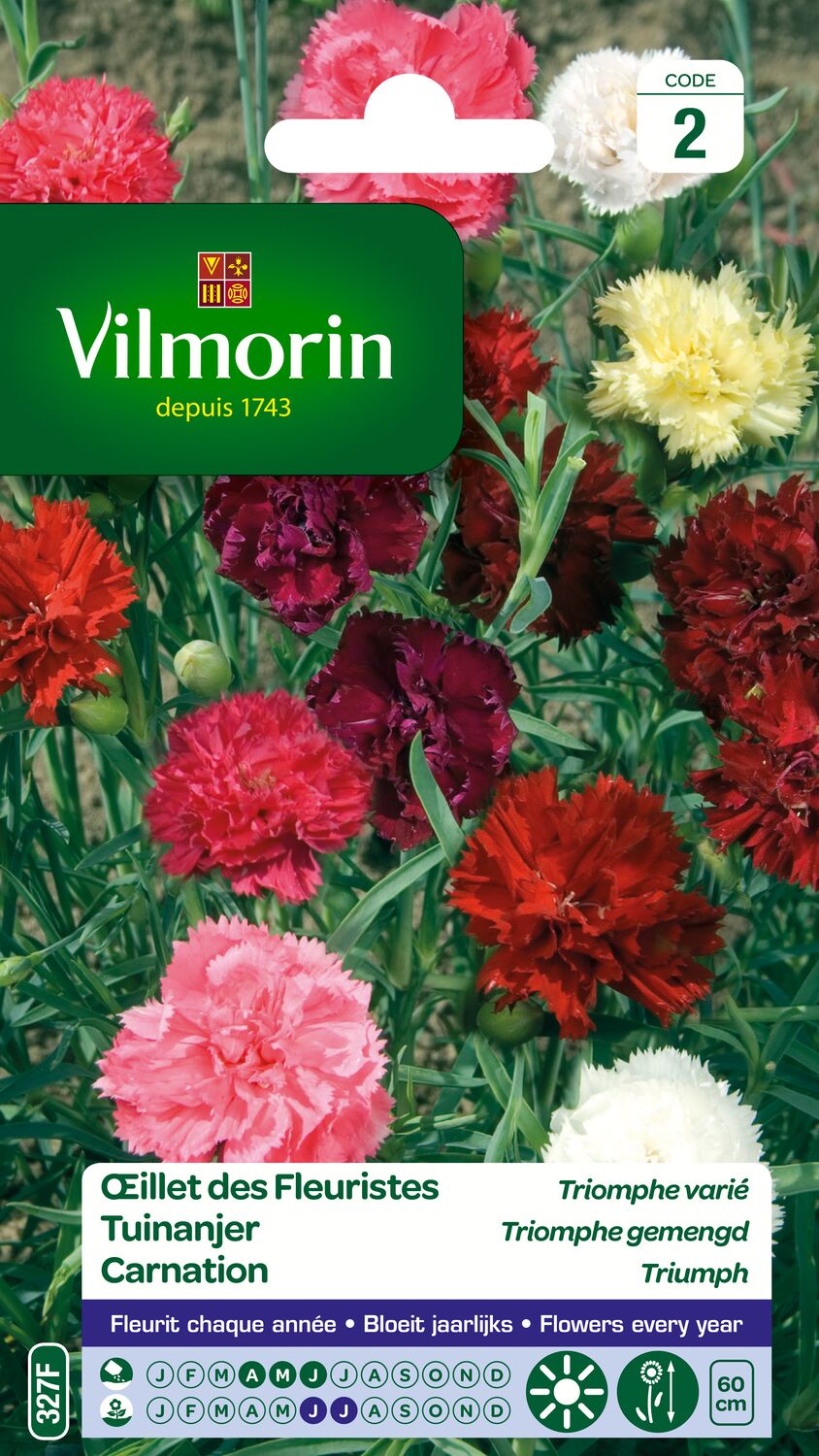 Graines Œillet des Fleuristes Triomphe Varié - VILMORIN