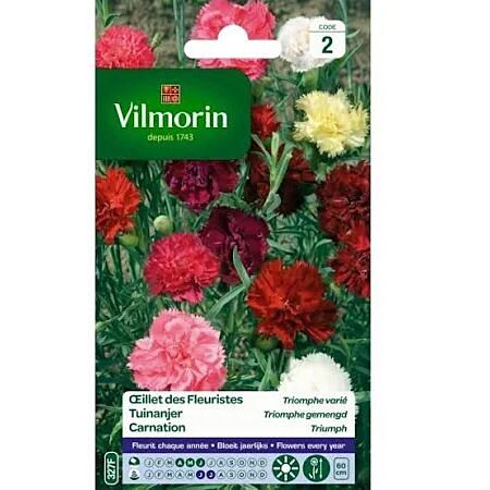 Graines Œillet des Fleuristes Triomphe Varié - VILMORIN
