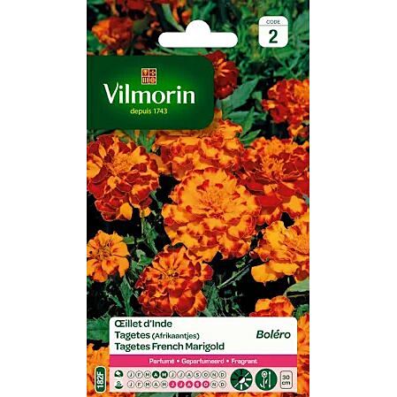 Graines Œillet d'Inde Boléro - VILMORIN