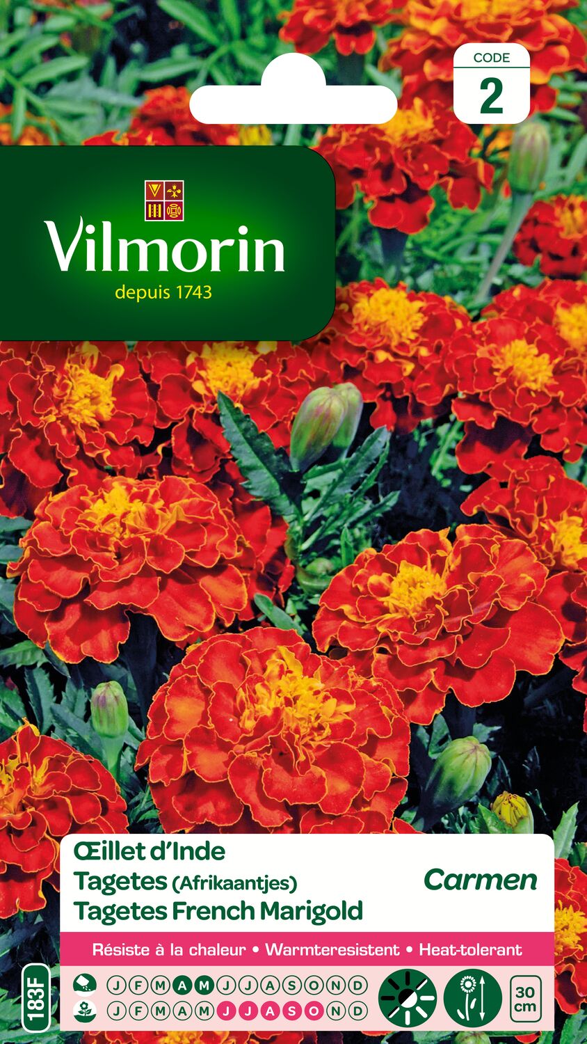 Graines Œillet d'Inde Carmen - VILMORIN